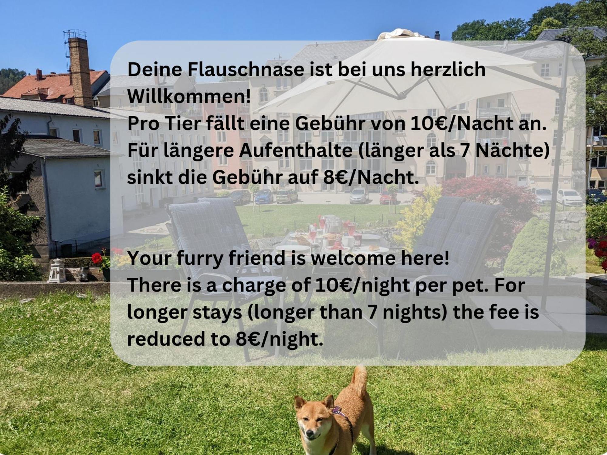 Hw2 - Urlaubsmagie - Sauna & Whirlpool Fuer Alle Sebnitz Kültér fotó